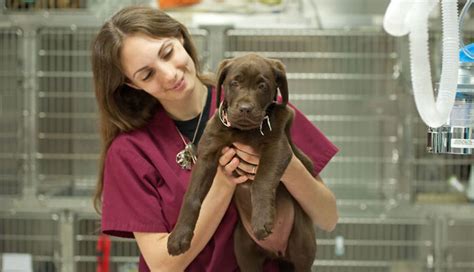 76 Animal Control jobs available in Hunterstown, PA on Indeed. . Kennel technician jobs